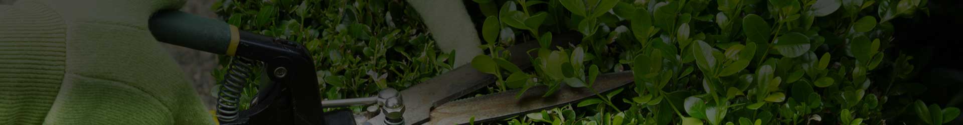 Boteco Services Paysagers photo 4