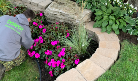 Boteco Services Paysagers photo 7