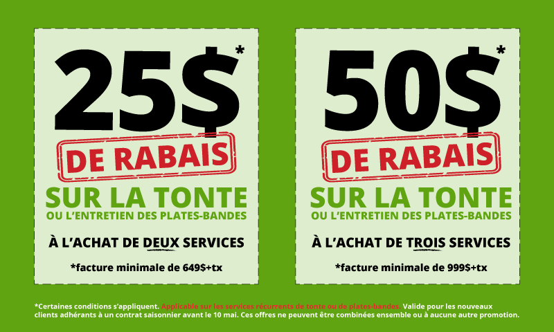 Website-Coupons-2022