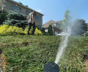 Irrigation de la pelouse