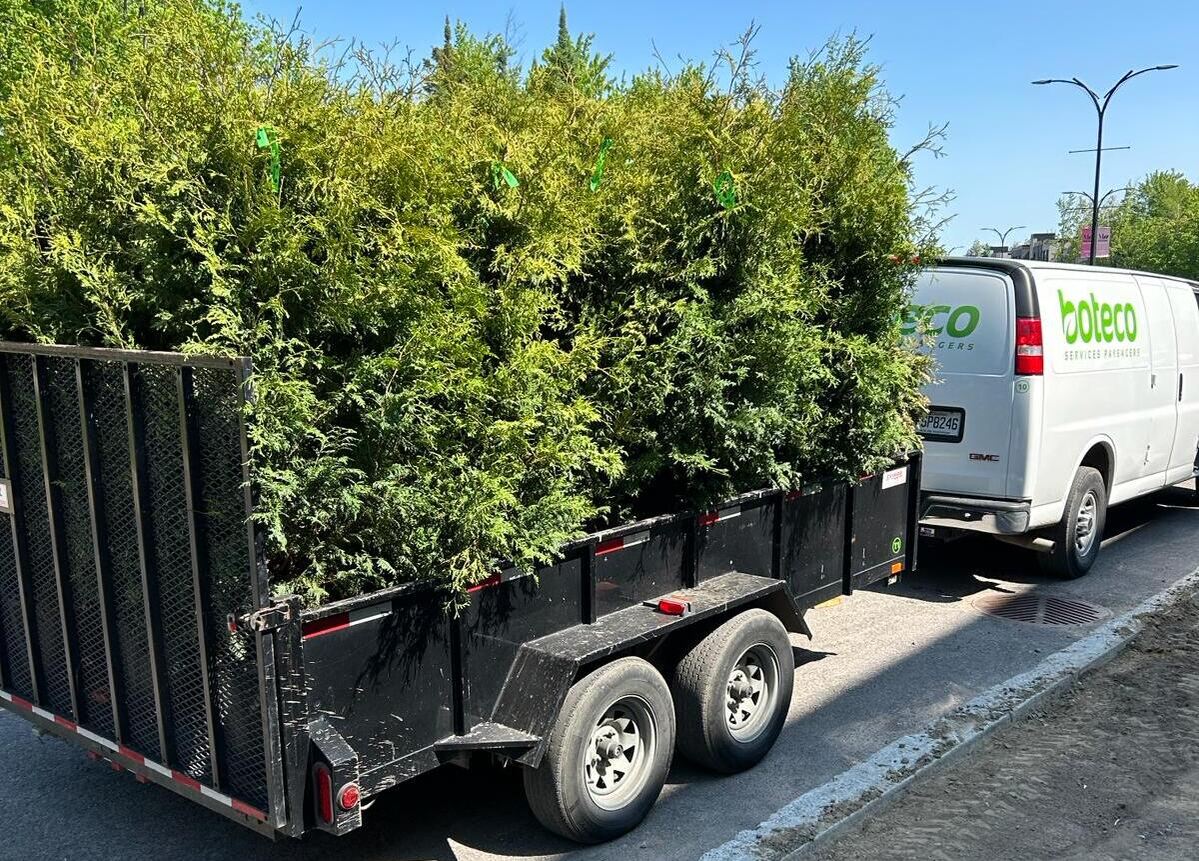 Camion Boteco en livraison de cèdres